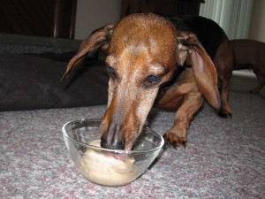 Senior Citizen Floppie