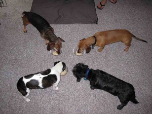 Enjoying Birthday Ice Cream!