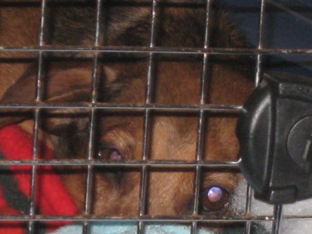 Floppie in his Shuttle Floppie in his Shuttle