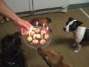 Ebony's First Birthday!!!